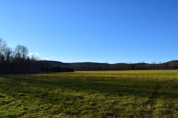 Land for future development along the I-86