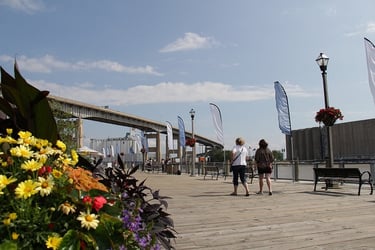 Canalside in the summer