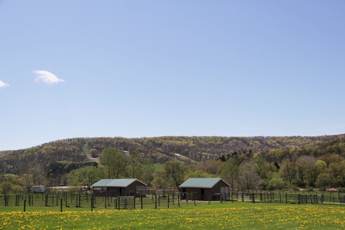 The charming Cattaraugus County