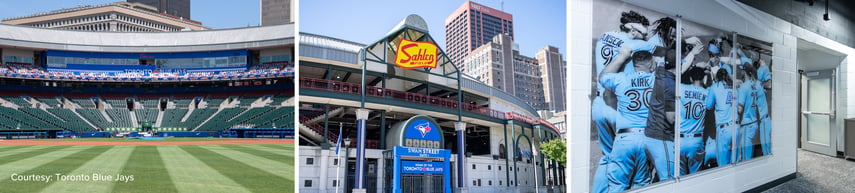 bLUE jAYS BANNER