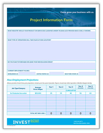 project info form